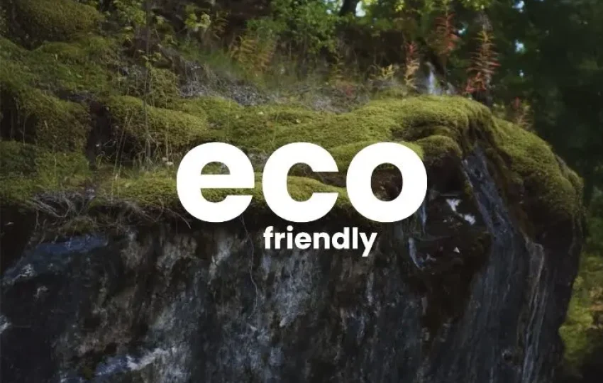 Eco-Friendly-Content-730x486